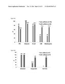 HUMAN PLURIPOTENT STEM CELLS PRODUCED BY SOMATIC CELL NUCLEAR TRANSFER diagram and image