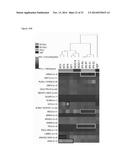 HUMAN PLURIPOTENT STEM CELLS PRODUCED BY SOMATIC CELL NUCLEAR TRANSFER diagram and image