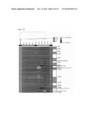 HUMAN PLURIPOTENT STEM CELLS PRODUCED BY SOMATIC CELL NUCLEAR TRANSFER diagram and image