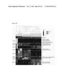 HUMAN PLURIPOTENT STEM CELLS PRODUCED BY SOMATIC CELL NUCLEAR TRANSFER diagram and image