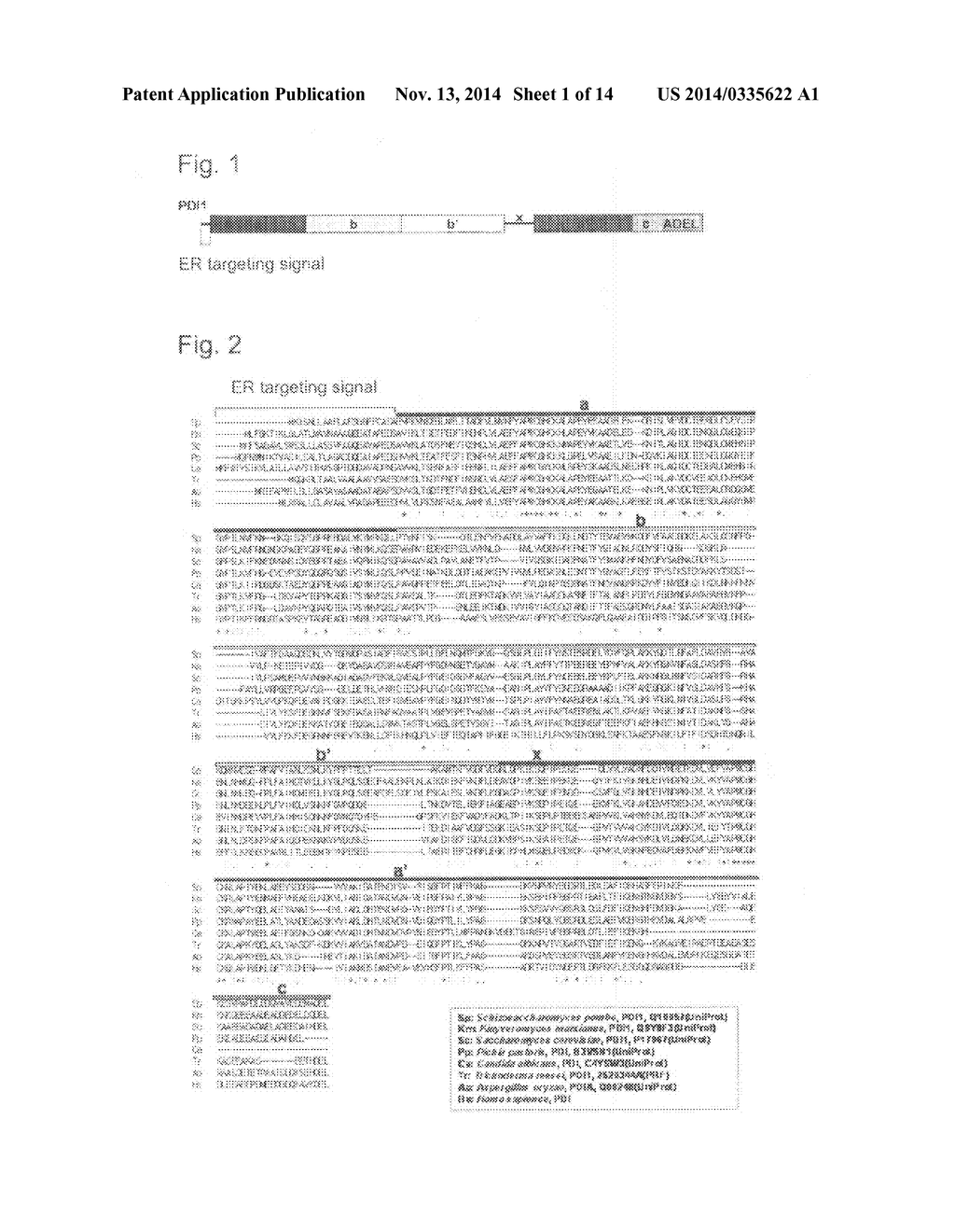 EXPRESSION VECTOR AND METHOD FOR PRODUCING PROTEIN - diagram, schematic, and image 02