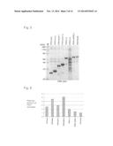 EXPRESSION VECTOR AND METHOD FOR PRODUCING PROTEIN diagram and image