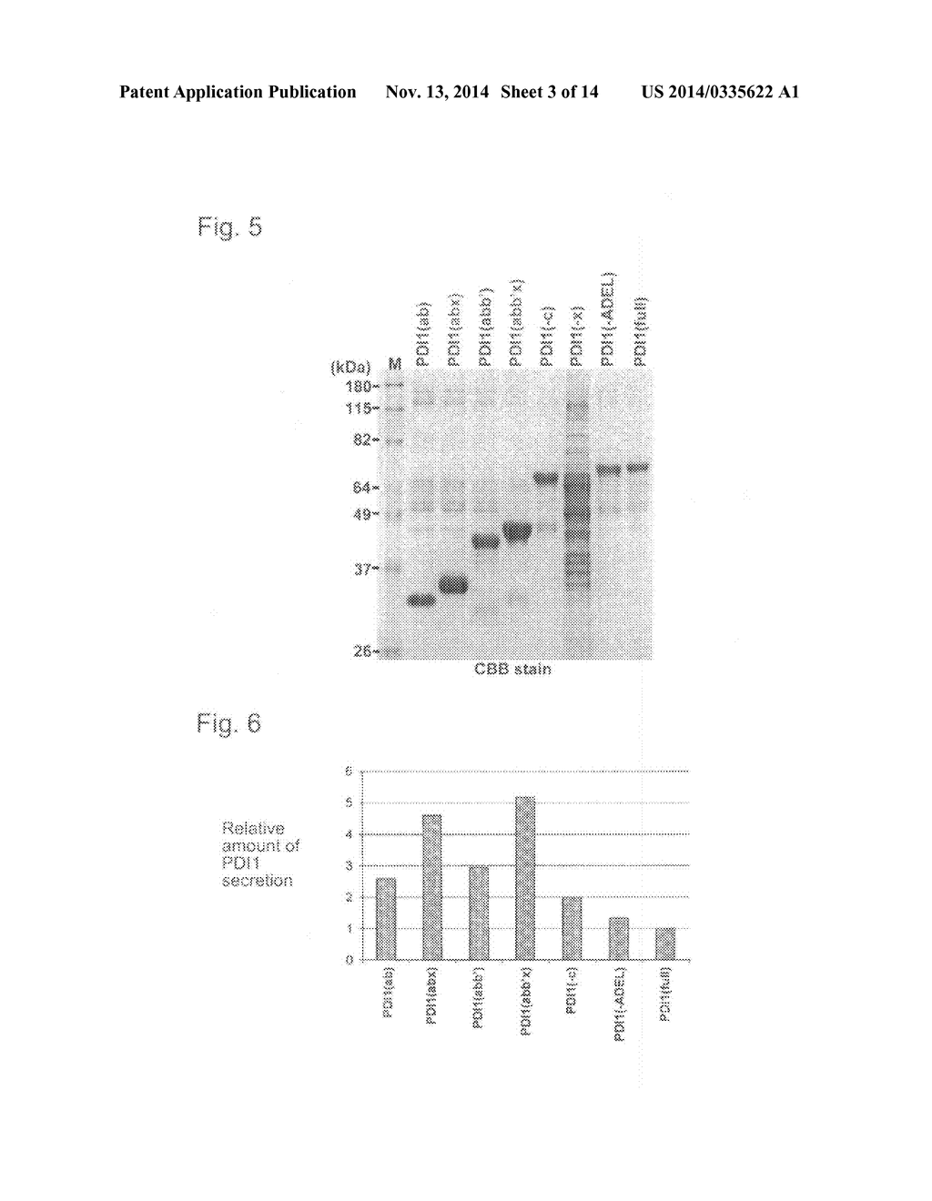 EXPRESSION VECTOR AND METHOD FOR PRODUCING PROTEIN - diagram, schematic, and image 04