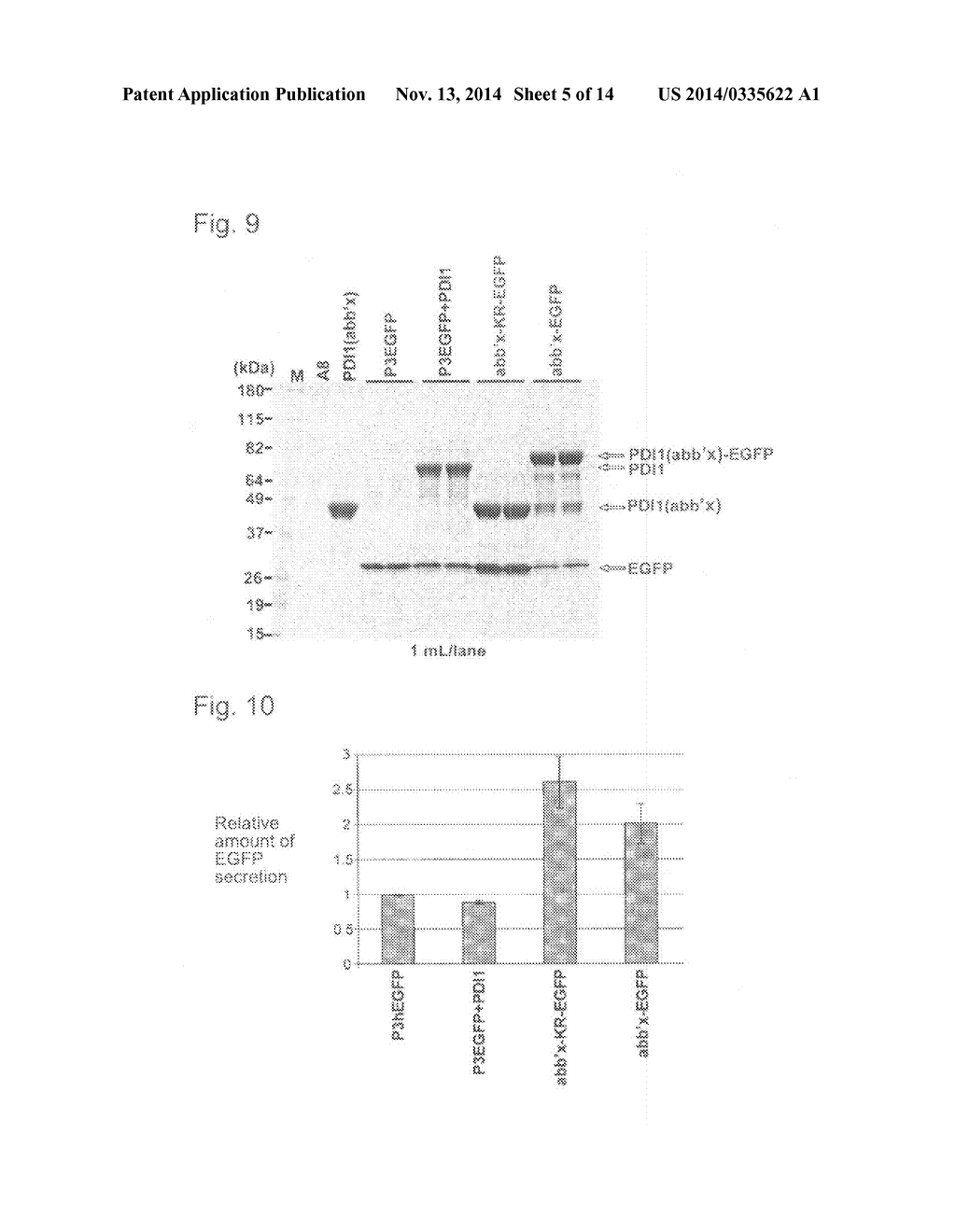 EXPRESSION VECTOR AND METHOD FOR PRODUCING PROTEIN - diagram, schematic, and image 06