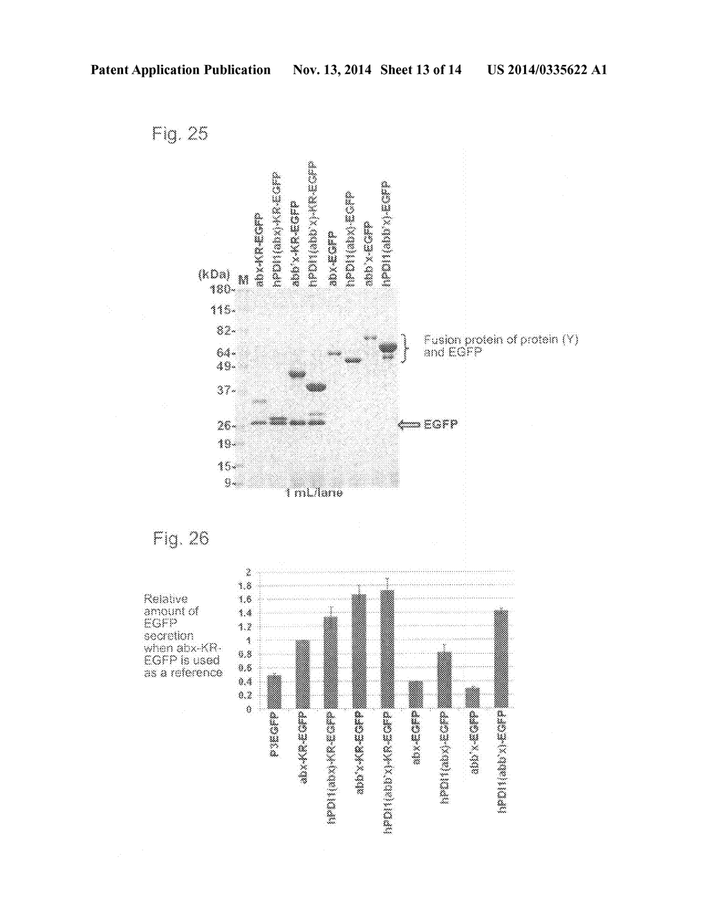 EXPRESSION VECTOR AND METHOD FOR PRODUCING PROTEIN - diagram, schematic, and image 14