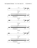 METHOD FOR FABRICATING SENSOR diagram and image