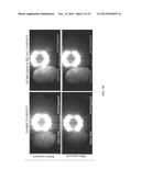 ANTI-FINGERPRINT PHOTOCATALYTIC NANOSTRUCTURE FOR TRANSPARENT SURFACES diagram and image