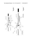 CLONOTYPES AS BIOMETRIC SPECIMEN TAGS diagram and image