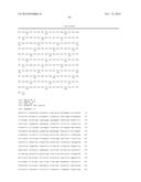 DRG11-RESPONSIVE (DRAGON) GENE AND USES THEREOF diagram and image