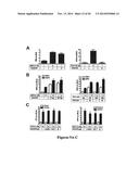 DRG11-RESPONSIVE (DRAGON) GENE AND USES THEREOF diagram and image