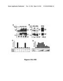 DRG11-RESPONSIVE (DRAGON) GENE AND USES THEREOF diagram and image