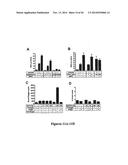 DRG11-RESPONSIVE (DRAGON) GENE AND USES THEREOF diagram and image