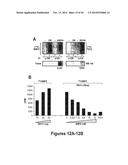 DRG11-RESPONSIVE (DRAGON) GENE AND USES THEREOF diagram and image