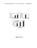 DRG11-RESPONSIVE (DRAGON) GENE AND USES THEREOF diagram and image