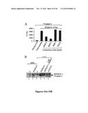 DRG11-RESPONSIVE (DRAGON) GENE AND USES THEREOF diagram and image