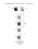 DEVICES, COMPOSITIONS, AND METHODS FOR MEASURING MOLECULES AND FORCES diagram and image