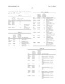 METHOD OF DETERMINATION OF CANCER CELL DRUG SENSITIVITY TOWARDS AURORA     KINASE INHIBITORS diagram and image