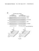 OPTINEURIN-DERIVED POLYPEPTIDES, THEIR NUCLEIC ACIDS AND USES THEREOF diagram and image