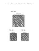 GIGAXONIN FUSION PROTEIN AND METHODS FOR TREATING GIANT AXONAL NEUROPATHY diagram and image