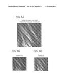 GIGAXONIN FUSION PROTEIN AND METHODS FOR TREATING GIANT AXONAL NEUROPATHY diagram and image