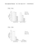 GIGAXONIN FUSION PROTEIN AND METHODS FOR TREATING GIANT AXONAL NEUROPATHY diagram and image