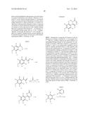 HETEROAROMATIC COMPOUNDS AND THEIR USE AS DOPAMINE D1 LIGANDS diagram and image