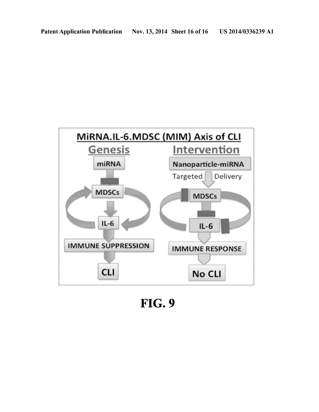 COMPOSITIONS AND METHODS FOR MODULATING MYELOID DERIVED SUPPRESSOR CELLS - diagram, schematic, and image 17