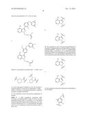 TYROSINE KINASE INHIBITORS diagram and image