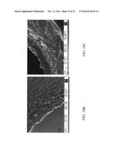 FLOW PROCESSING AND CHARACTERIZATION OF METAL-ORGANIC FRAMEWORK (MOF)     MEMBRANES IN HOLLOW FIBER AND TUBULAR MODULES diagram and image