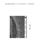 FLOW PROCESSING AND CHARACTERIZATION OF METAL-ORGANIC FRAMEWORK (MOF)     MEMBRANES IN HOLLOW FIBER AND TUBULAR MODULES diagram and image