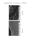 FLOW PROCESSING AND CHARACTERIZATION OF METAL-ORGANIC FRAMEWORK (MOF)     MEMBRANES IN HOLLOW FIBER AND TUBULAR MODULES diagram and image