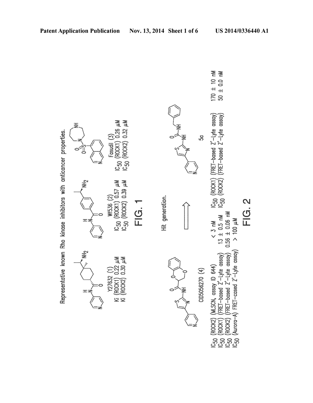 INHIBITORS OF RHO ASSOCIATED PROTEIN KINASES (ROCK) AND METHODS OF USE - diagram, schematic, and image 02