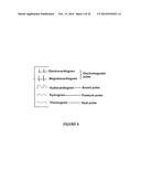 METHOD OF REPAIRING AGE AND DISEASE IMMUNE DYSFUNCTION AND CELLULAR     SENESCENCE WITH LYMPHOID STEM CELLS AND THEN RE-APPLYING THOSE FOR     THERAPEUTIC USE diagram and image