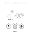 METHOD AND APPARATUS FOR STEERABLE, ROTATABLE, MICROENDOSCOPE WITH TOOL     FOR CUTTING, COAGULATING, DESICCATING AND FULGURATING TISSUE diagram and image