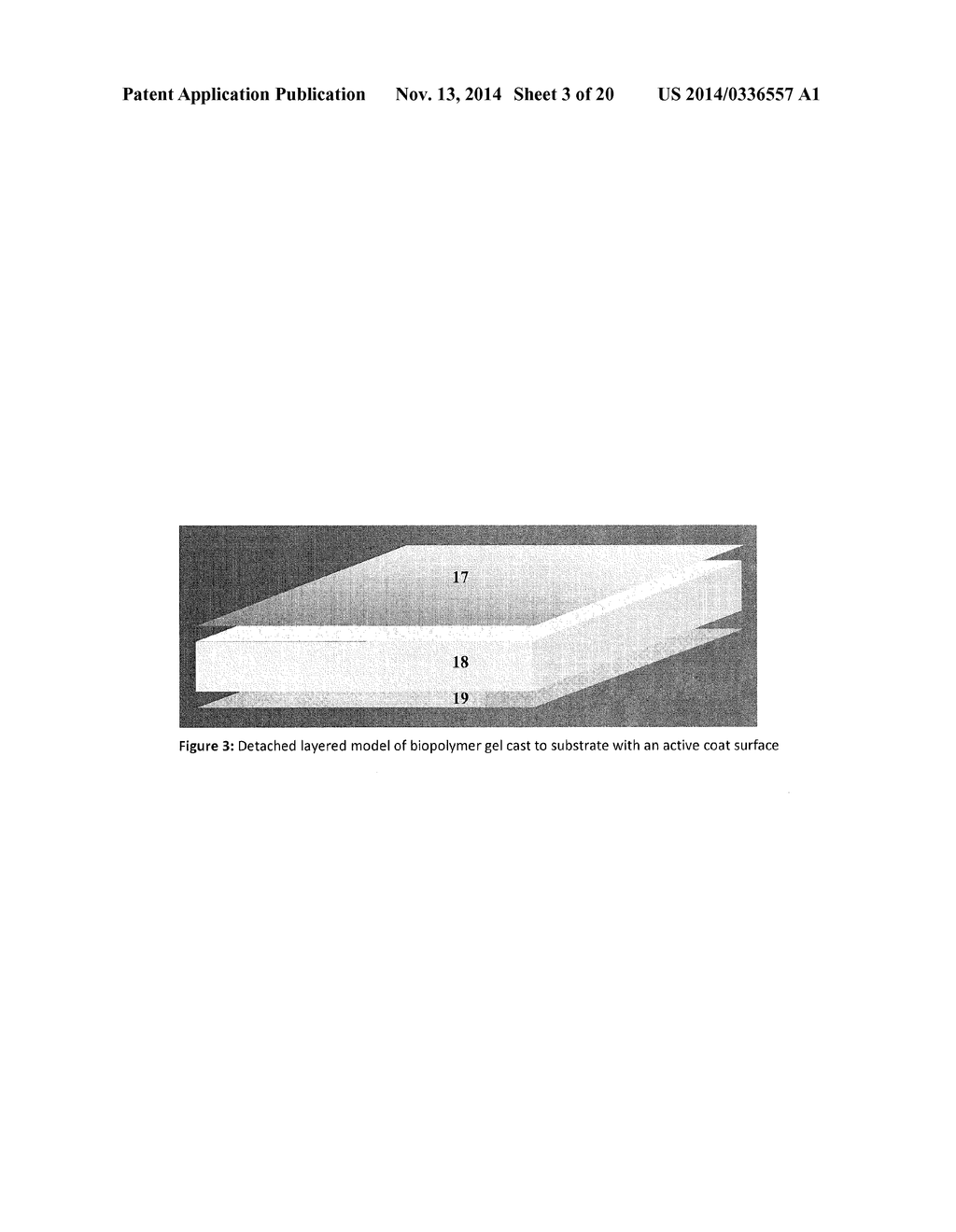 BIOPOLYMER MULTI-LAYER MULTI-FUNCTIONAL MEDICAL DRESSING AND METHOD OF     MAKING SAME - diagram, schematic, and image 04