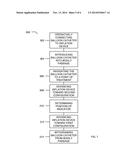 System, Method, and Kit for Providing the Diameter of a Balloon During     Treatment diagram and image