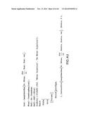 METHODOLOGY FOR PRESENTING DUMPFLOOD DATA diagram and image