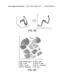 Analyzing High Dimensional Single Cell Data Using the T-Distributed     Stochastic Neighbor Embedding Algorithm diagram and image