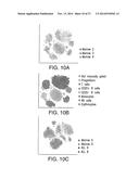 Analyzing High Dimensional Single Cell Data Using the T-Distributed     Stochastic Neighbor Embedding Algorithm diagram and image