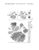 Analyzing High Dimensional Single Cell Data Using the T-Distributed     Stochastic Neighbor Embedding Algorithm diagram and image