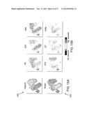 Analyzing High Dimensional Single Cell Data Using the T-Distributed     Stochastic Neighbor Embedding Algorithm diagram and image