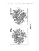 Analyzing High Dimensional Single Cell Data Using the T-Distributed     Stochastic Neighbor Embedding Algorithm diagram and image