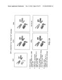 Analyzing High Dimensional Single Cell Data Using the T-Distributed     Stochastic Neighbor Embedding Algorithm diagram and image