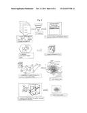 INFORMATION NETWORK WITH LINKED INFORMATION NODES diagram and image