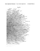 INFORMATION NETWORK WITH LINKED INFORMATION NODES diagram and image