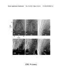 Method and Apparatus for Enhanced Flameholding in Augmentors diagram and image