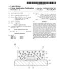 LIGHT-EMITTING DEVICE diagram and image