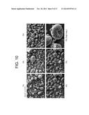 POROUS CERAMIC ARTICLE AND METHOD OF MANUFACTURING THE SAME diagram and image