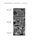 POROUS CERAMIC ARTICLE AND METHOD OF MANUFACTURING THE SAME diagram and image