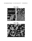 POROUS CERAMIC ARTICLE AND METHOD OF MANUFACTURING THE SAME diagram and image